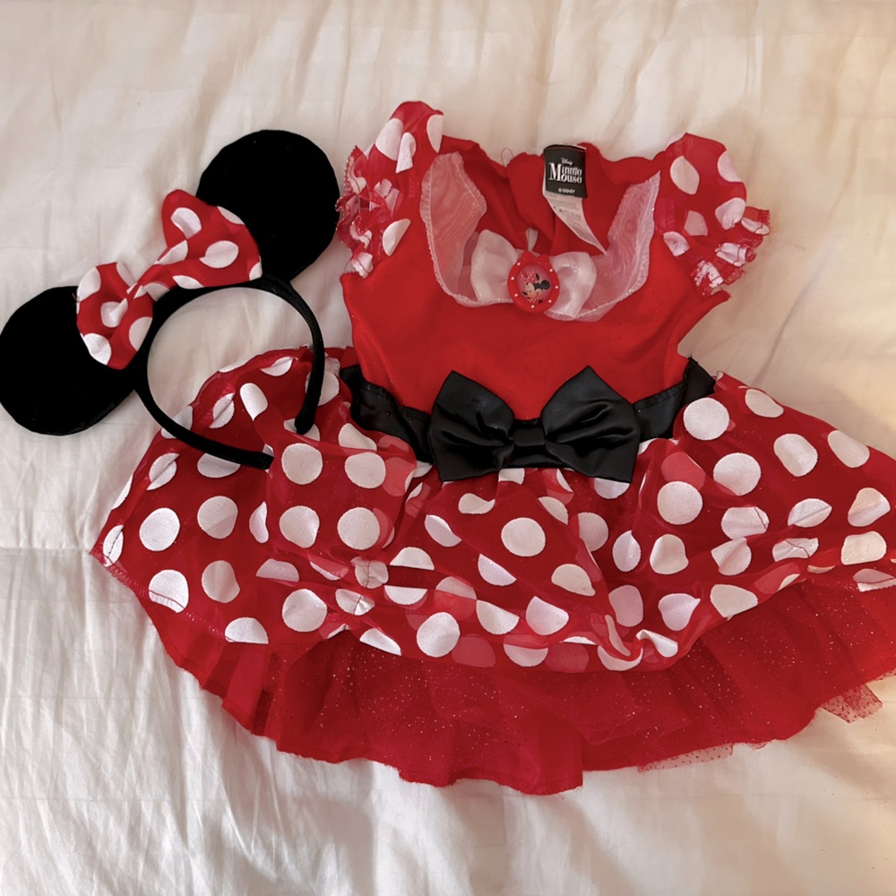 Minnie Mouse Costume Size 2T. Worn once, and in great condition.